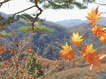 吃打胎药肚子疼要几天（吃完打胎药肚子疼多长时间能下来）
